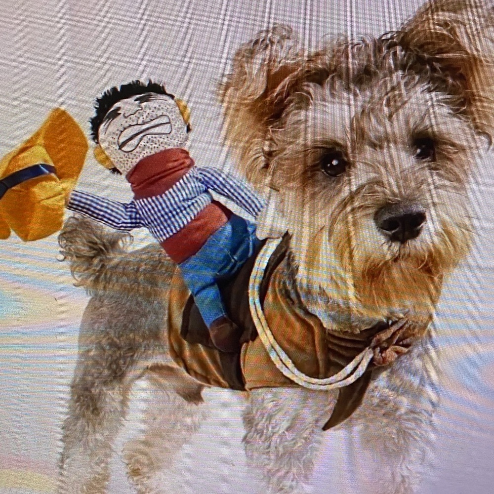 Dog Cowboy Rider Costume - Brown and Tan Pet Outfit